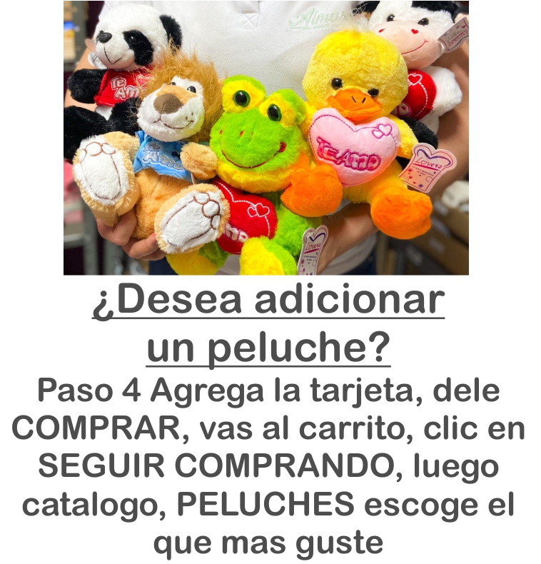 ¿Desea adicionar un peluche? Lea info imagen